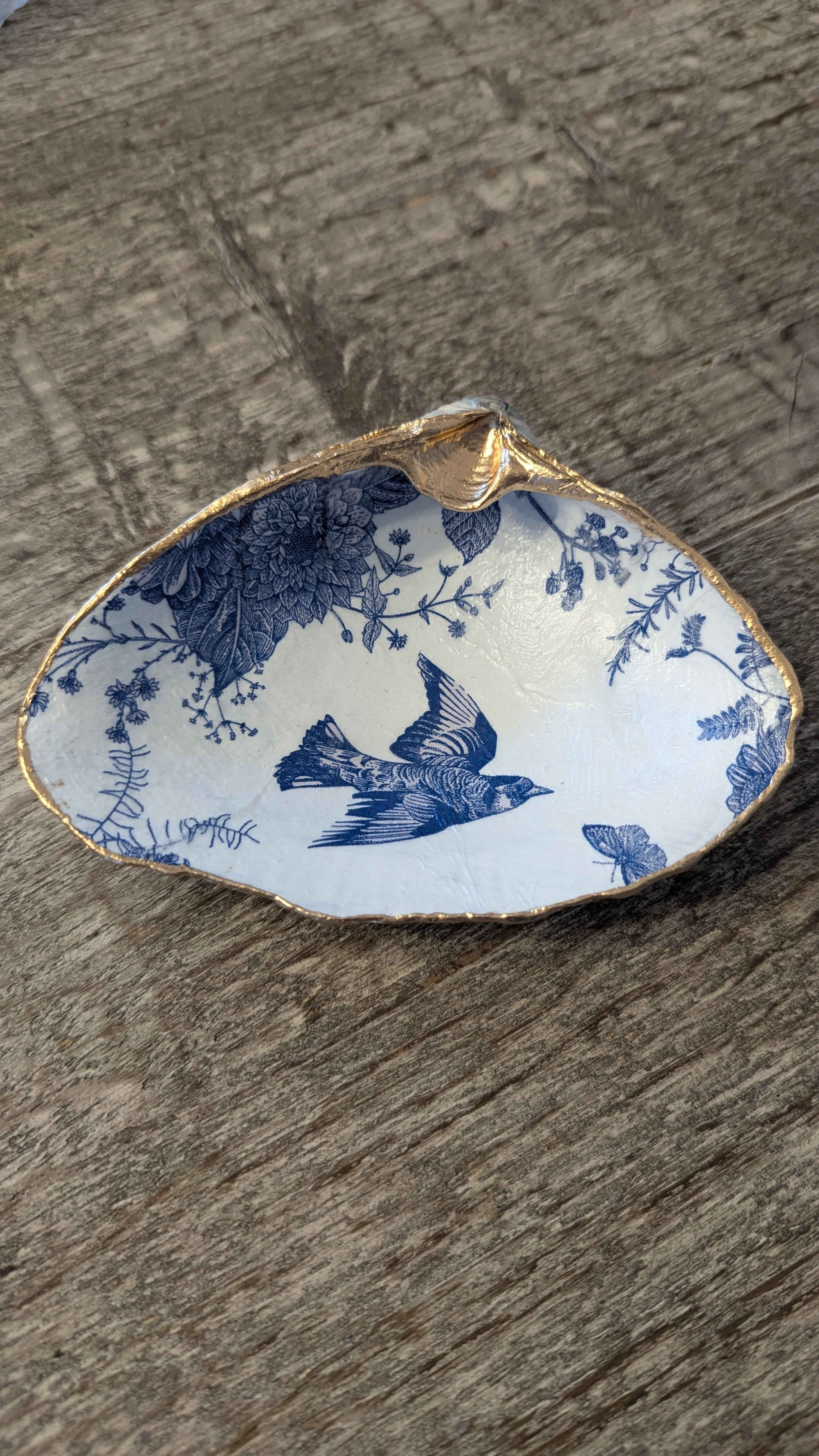 One -Of -A-Kind Sea Shell Trinket Dish Blue Bird 