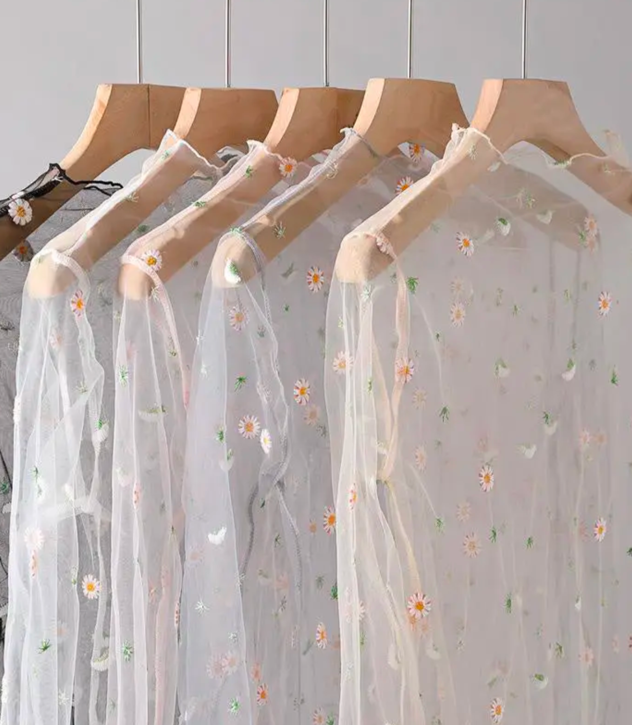 Sheer Embroidered Top in White 