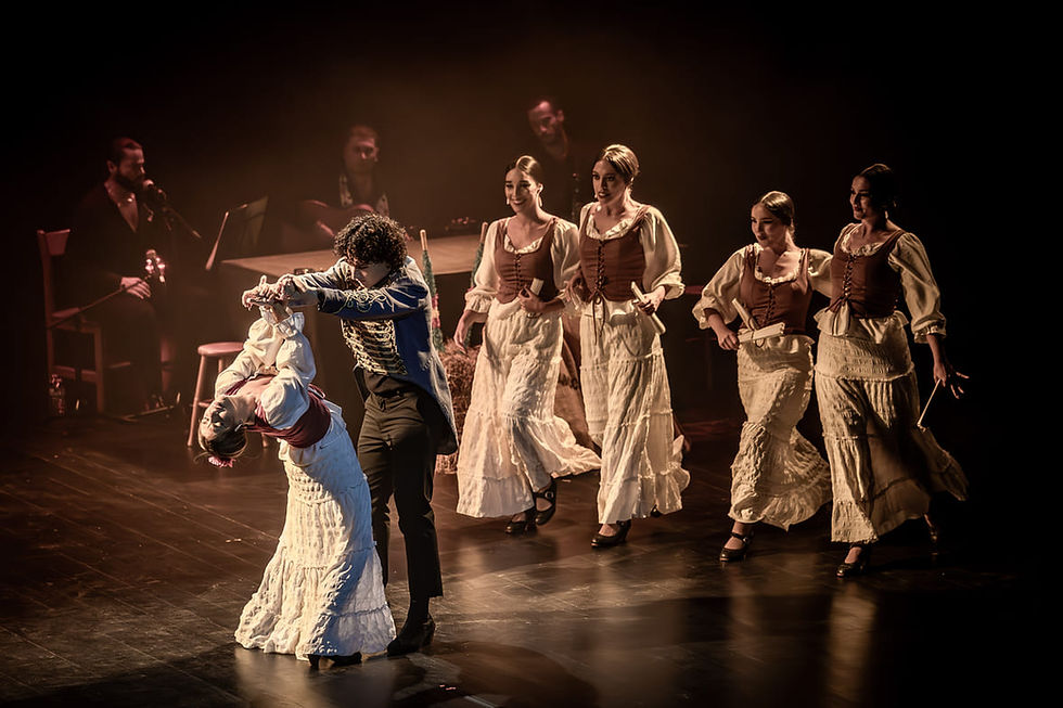 Barcelona Flamenco Ballet "Carmen"