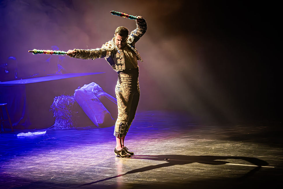 Barcelona Flamenco Ballet "Carmen"