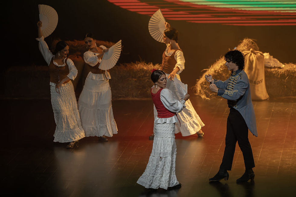 Barcelona Flamenco Ballet "Carmen"