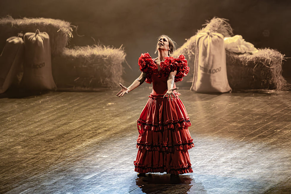 Barcelona Flamenco Ballet "Carmen"