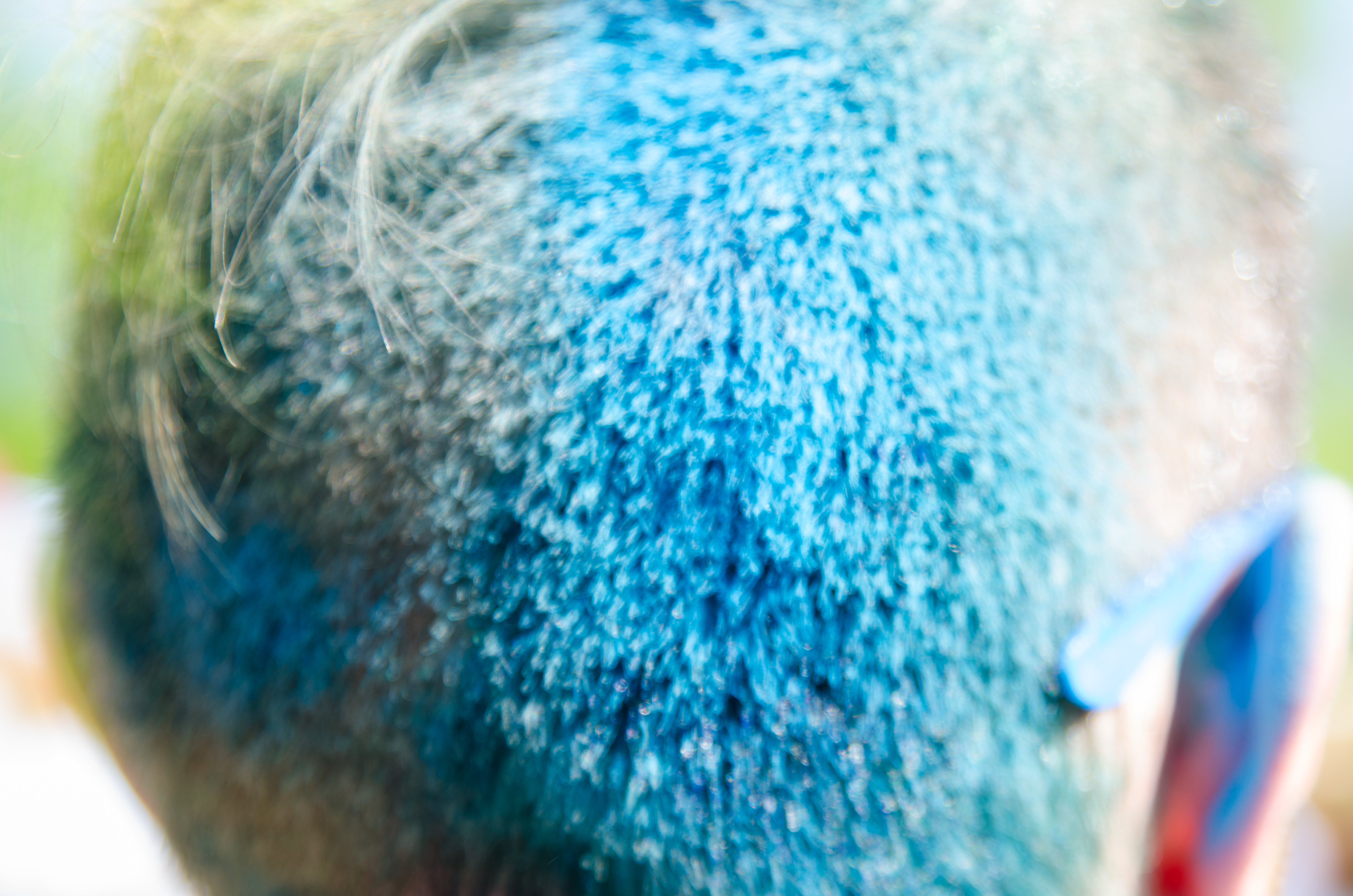 _DSC8160