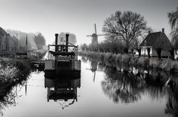 _DSC7739