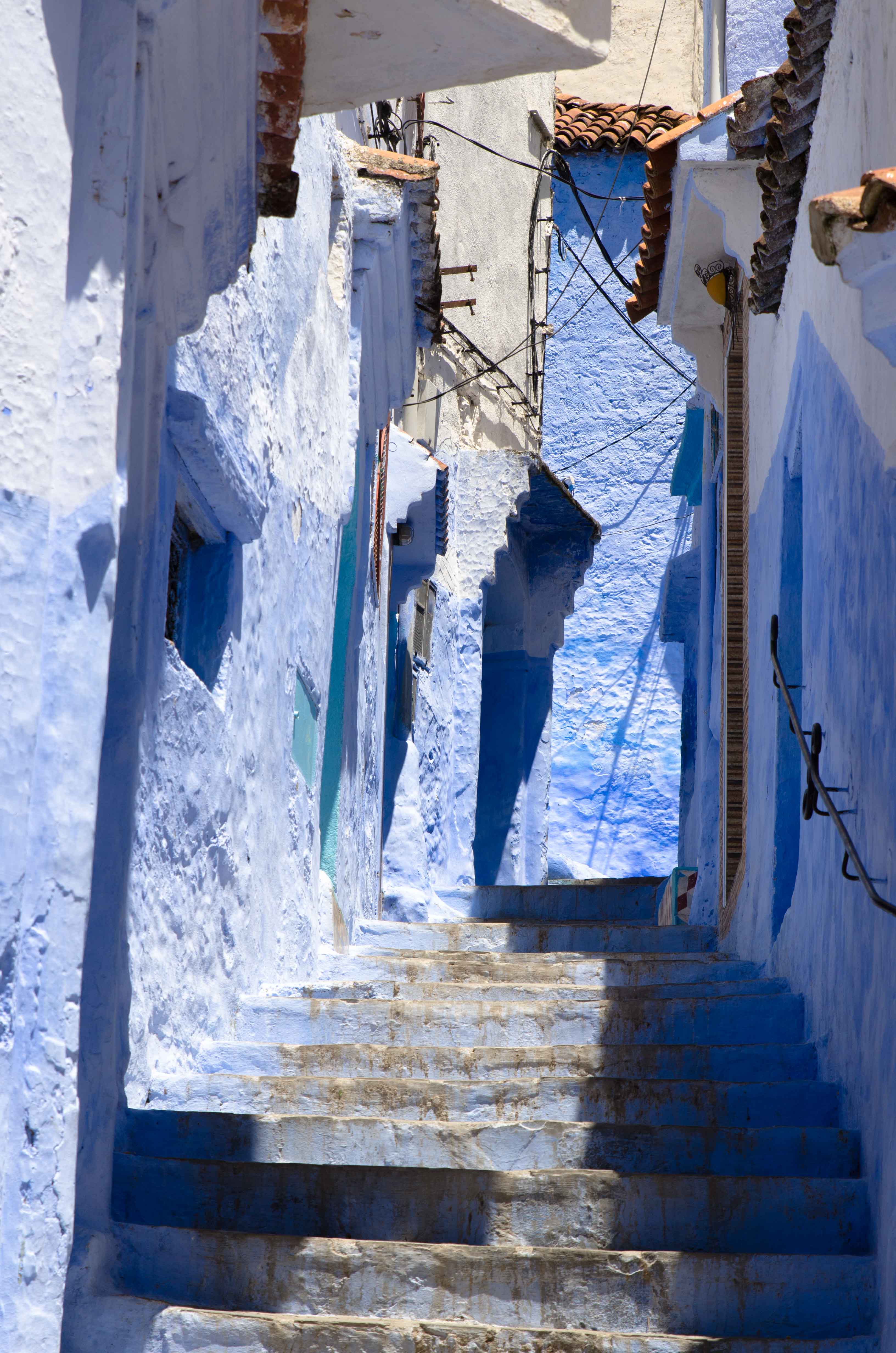 _DSC9081