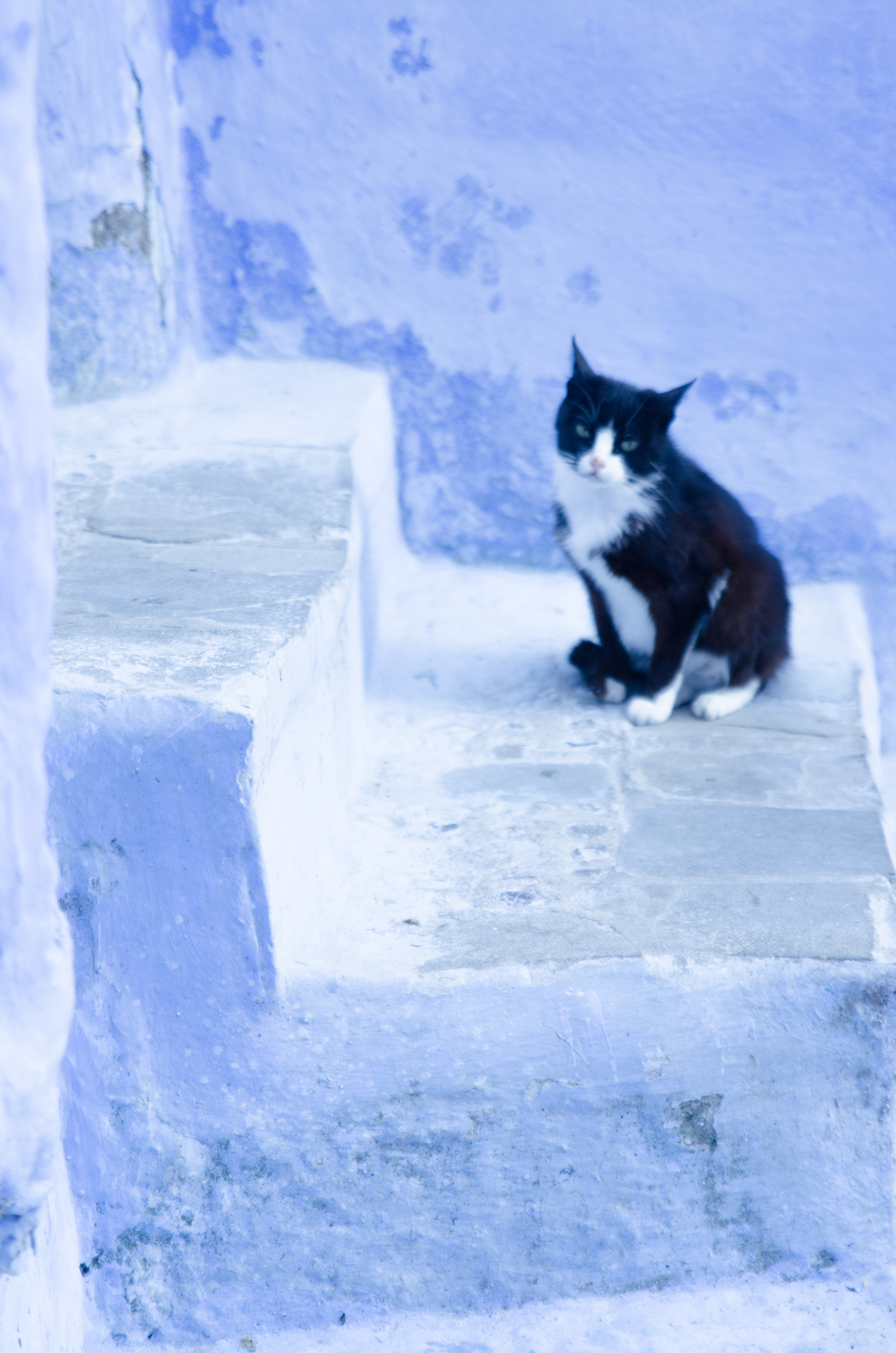 Dans les rues de Chefchaouen 11