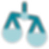 icons8-integrity-96