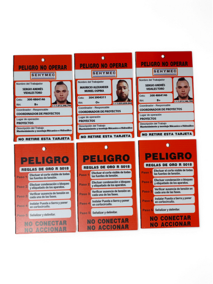 carnet, escarapela, tarjeta identificación, identificación, tarjeta de bloqueo, tarjeta de seguridad, manipulación de equipos, seguridad, tarjeton