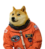 doge-png.png
