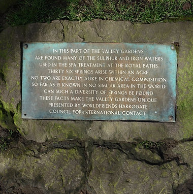 Plq01 A The Magnesia Well.jpg