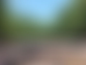 REVIVENDO AS TRANSPOSIÇÕES DE CACHOEIRAS DO TEMPO DAS MONÇÕES.