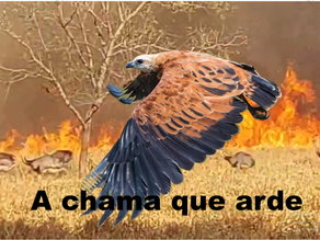 A CHAMA QUE ARDE