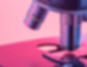 pink microscope_edited.jpg