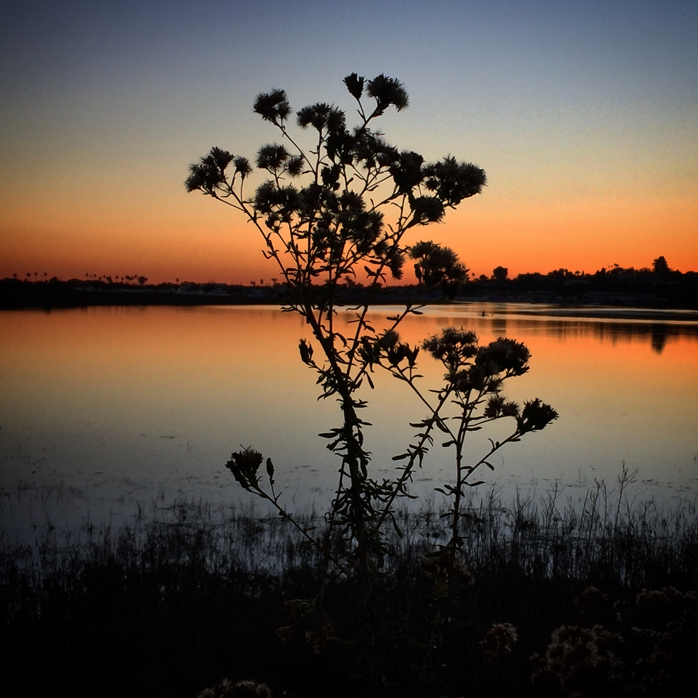 Newport Back Bay