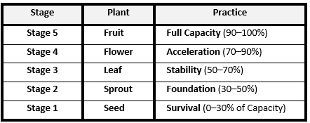 5 stages business growth 