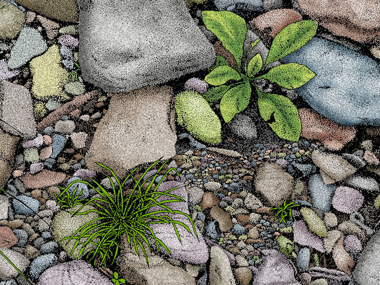 Thumbnail: Bunch of Rocks art print by Michael Smith
