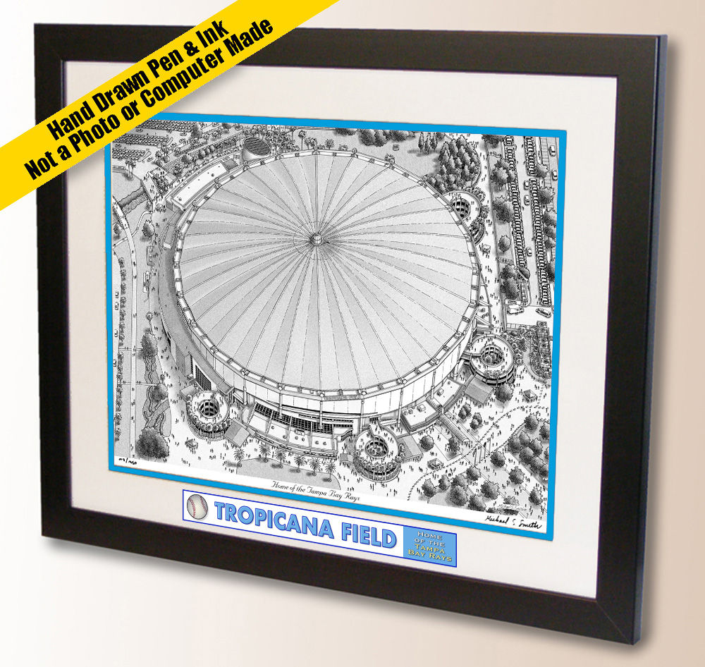 Tampa Bay Rays wall art by Michael Smith