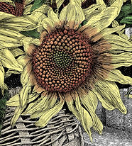 Detail-C.jpg