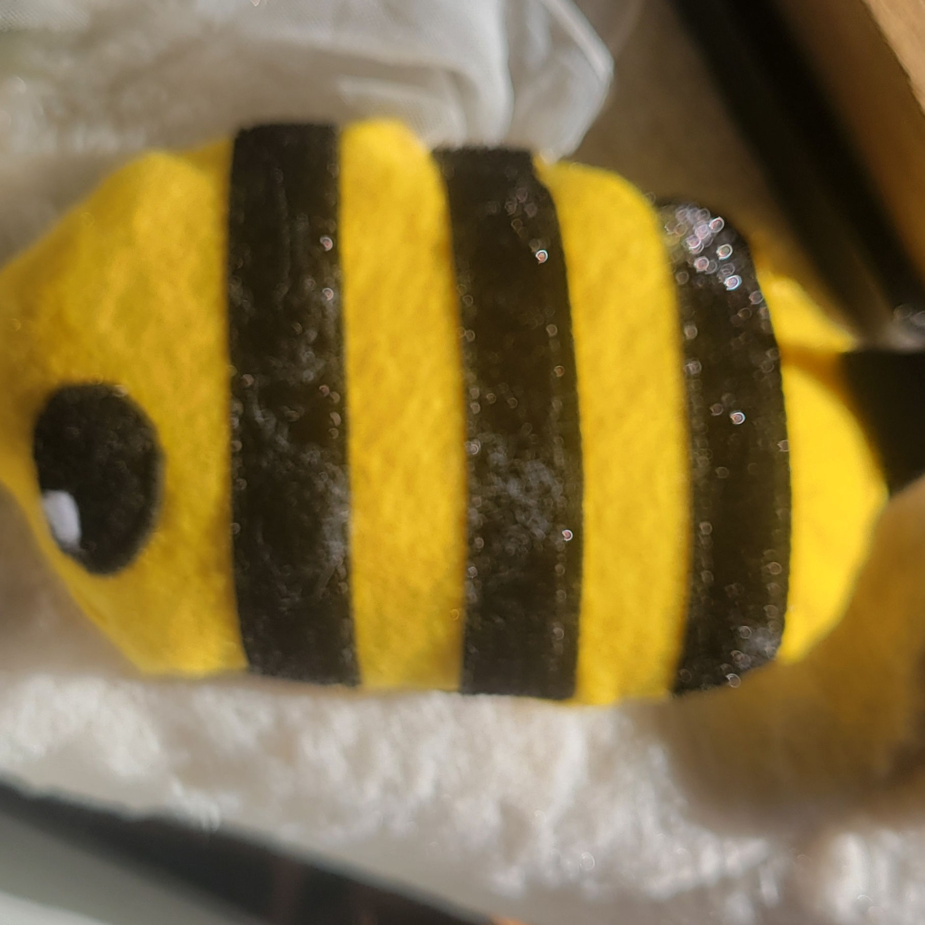 Sensory Bee