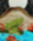 7DE9773B-71A6-4746-B08D-9DC6197040B6.jpeg