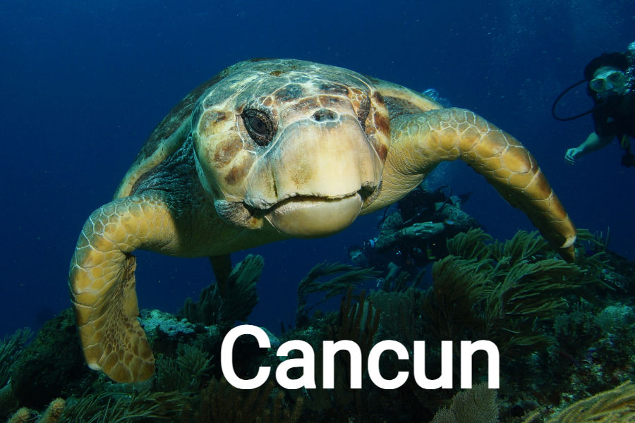 Sea turtle swimming with divers over coral reef in blue ocean. Text "Cancun" displayed in white. Calm and vibrant underwater scene.