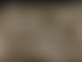 ワカサギ入ってます♪