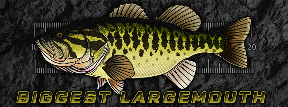 Records-LMB-2.png