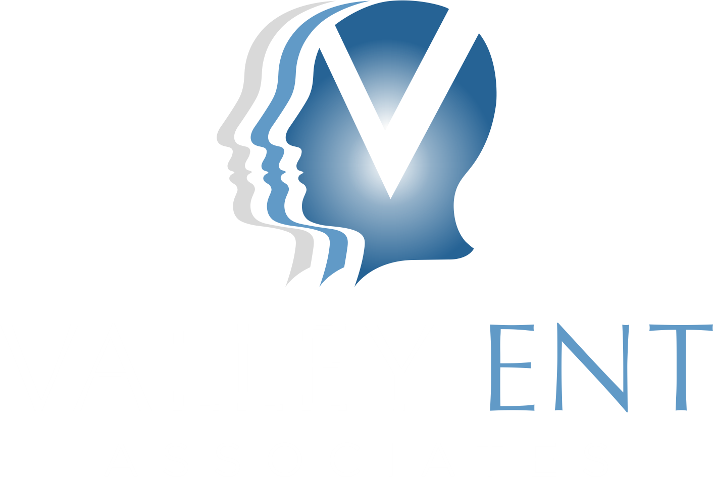 VEA Vertical color logo for dark background - transparent.png