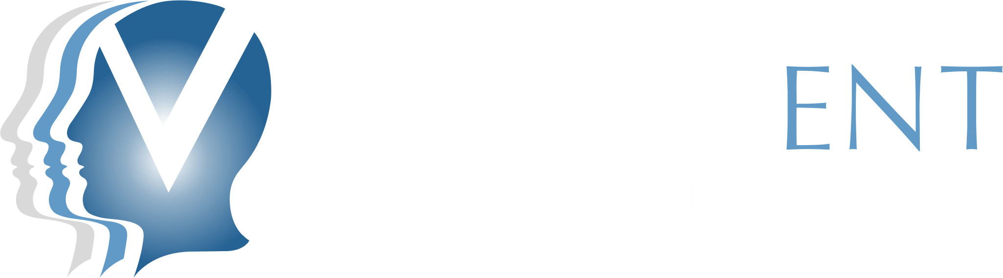 VEA Horizontal color logo for dark background - transparent.png