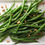 Thumbnail: Top Crop Garden Bean