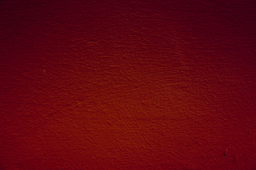 lauris-rozentals-RyKLUffUhVM-unsplash_edited.jpg
