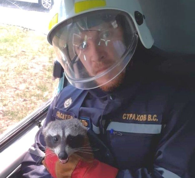 Сотрудники МЧС спасают даже экзотических животных