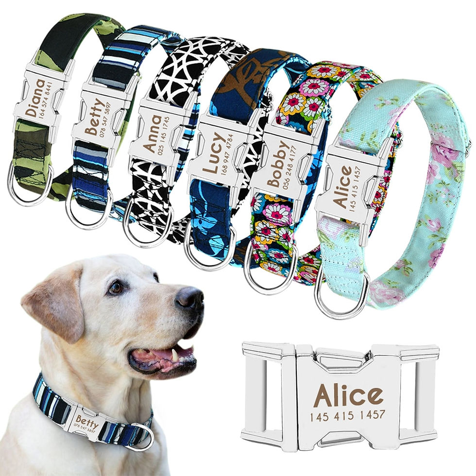 Thumbnail: Nylon Dog Collar Personalized Engraved ID Tag Reflective for Medium Large Dogs 