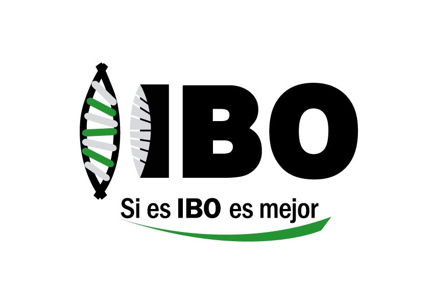 IBO S.A