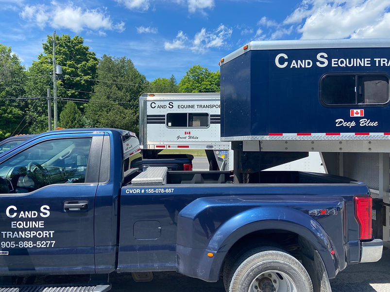 C and S Equine Transport Trailers