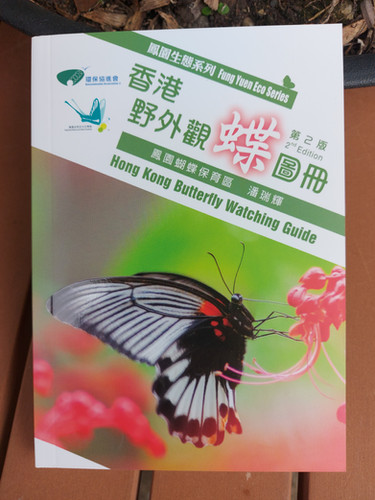 蝶　香港　図鑑　洋書　バタフライ　Butterflies Butterfly 蝶 香港 図鑑 洋書 バタフライ Butterflies Butterfly 蝶 香港