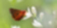 DSC_0352'''_2_edited.jpg
