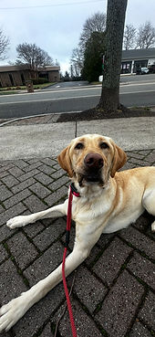 image0 (3)_edited.jpg