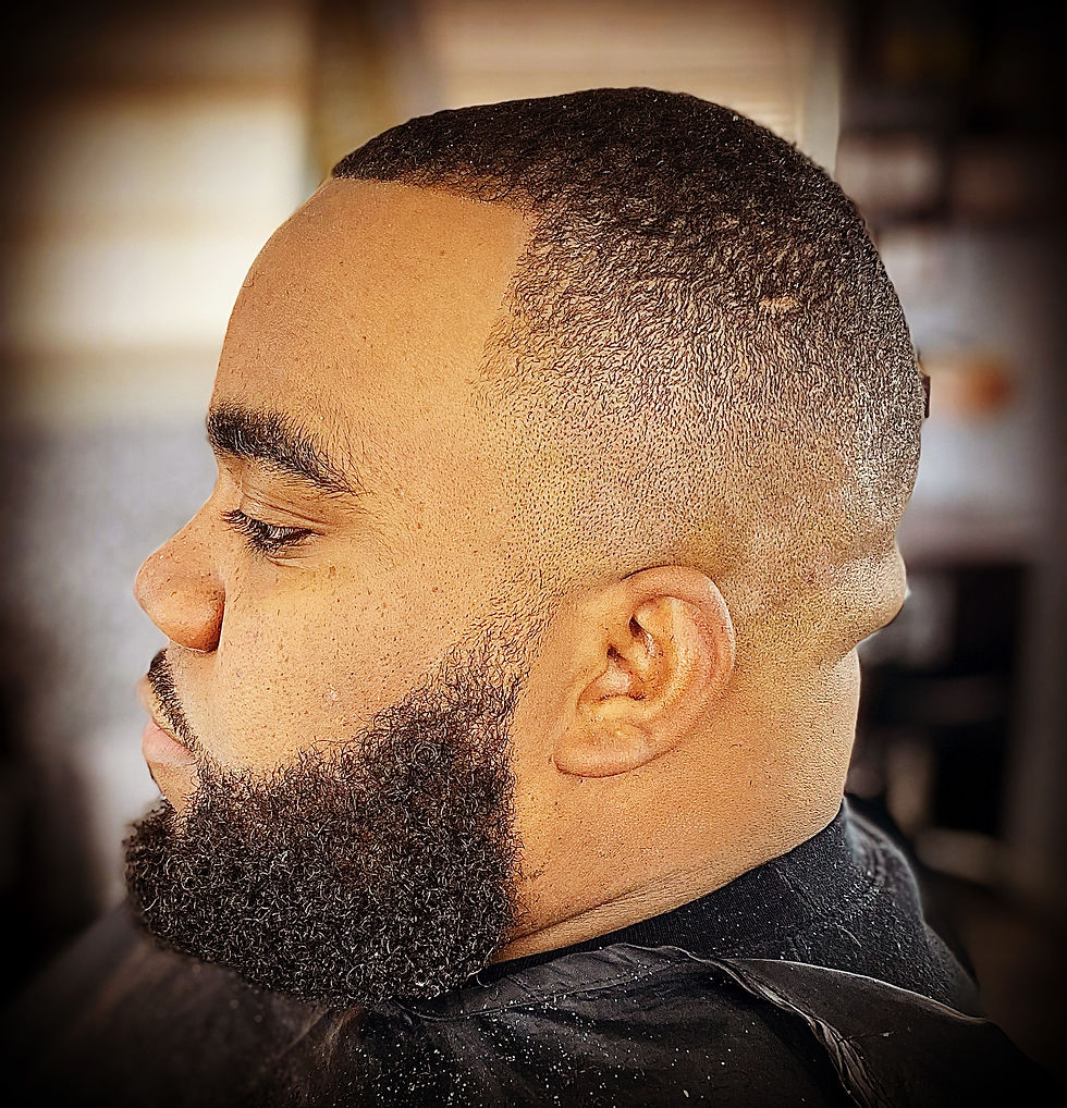 Crisp fade with Beard shape