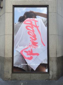 poseur d'adhésifs covering