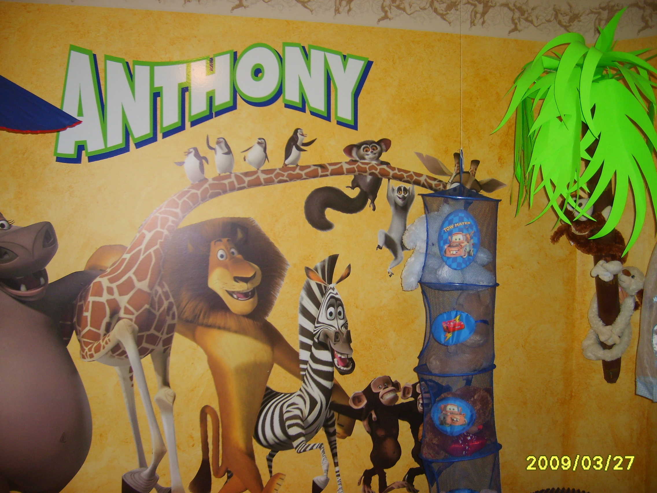 Islamabad wall graphics decoration,