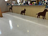 IMG_2025 1.jpeg