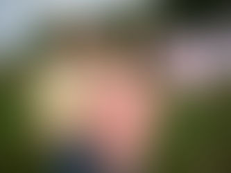 Wir verlosen zwei Eberhofer-Triple-Box-Pakete