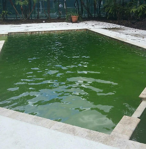 green deavila.jpg