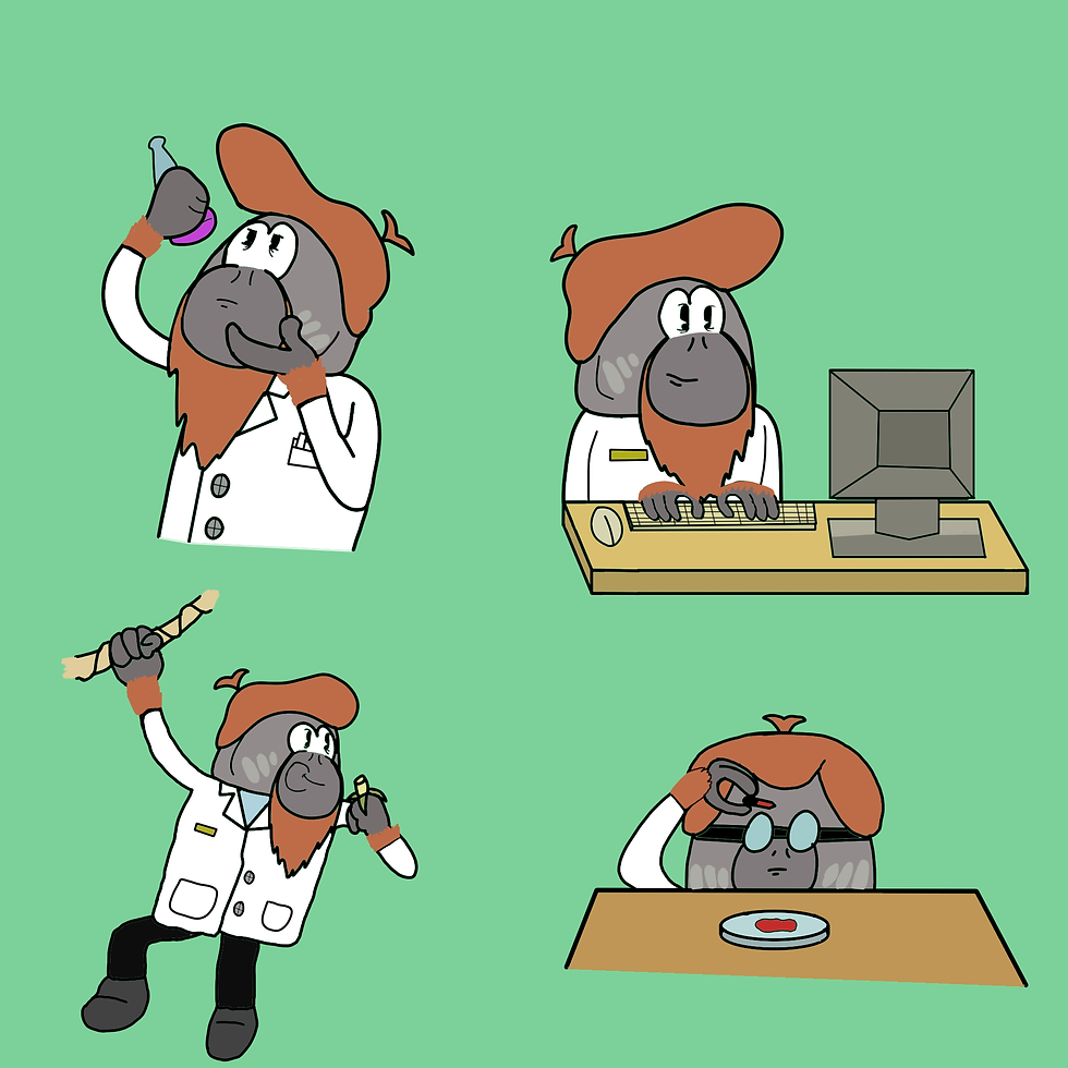 action sheet for Dr.Pango