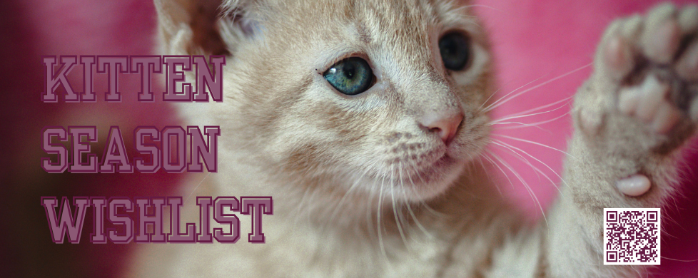 Wix Slideshow Designs (10).png