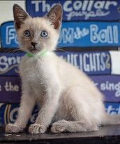 Captura de pantalla_20210531-141109_Instagram.jpg