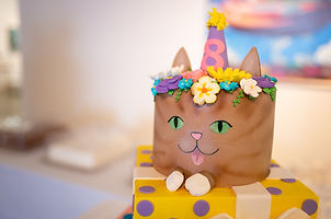 Lil Bub's Birhday (175 of 797).jpg