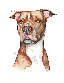 IMG_7663.PNG