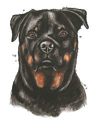 IMG_7664.PNG